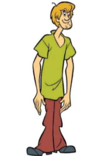 Shaggy Rogers