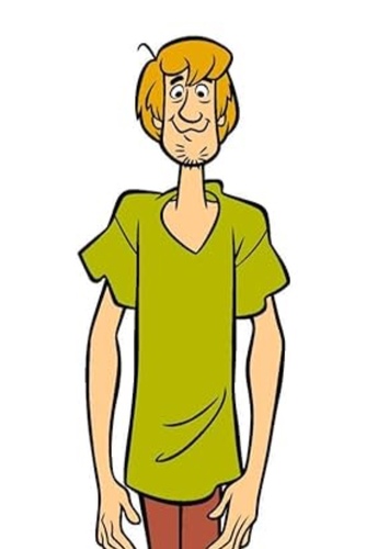 Shaggy Rogers