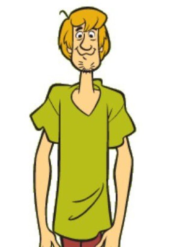 Shaggy Rogers