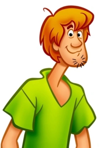 Shaggy Rogers