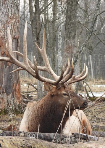 Shalom Wildlife Zoo