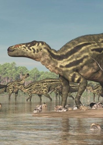 Shantungosaurus
