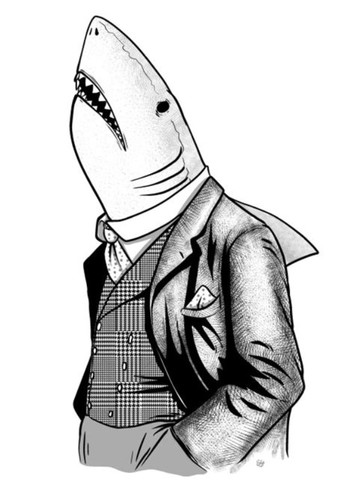 Shark