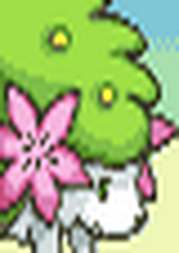 Shaymin (English Dub)