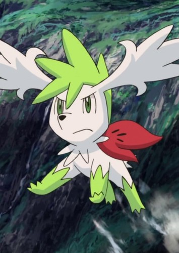 Shaymin (Japanese Dub)