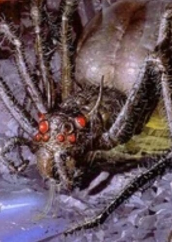 Shelob