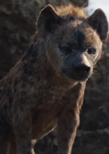 Shenzi