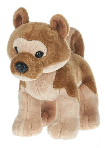 Shiba Inu Dog