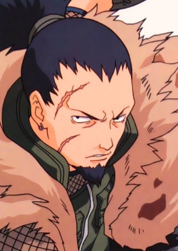 Shikaku Nara