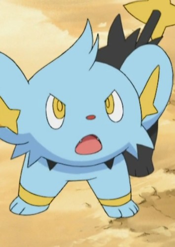 Shinx (Japanese Dub)