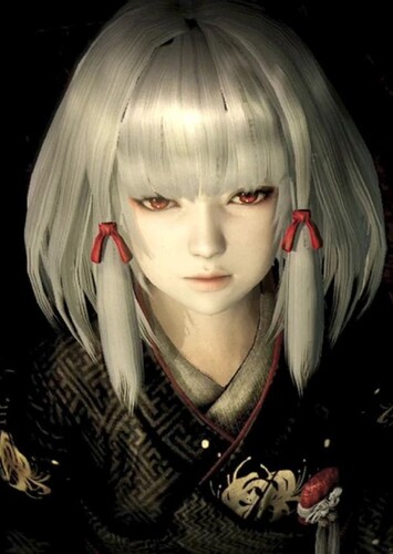 Shiragiku