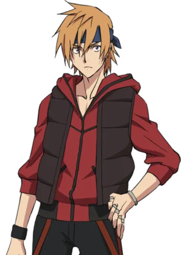 Sho Hakua