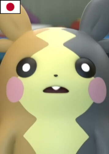 Shota's Morpeko (Japanese)