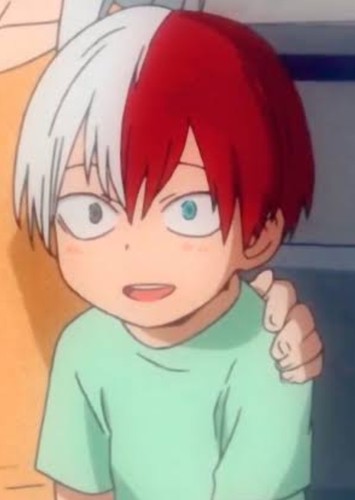 Shoto Todoroki (Kid)