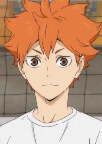 Shoyo Hinata