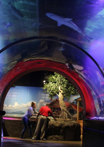 Shreveport Aquarium