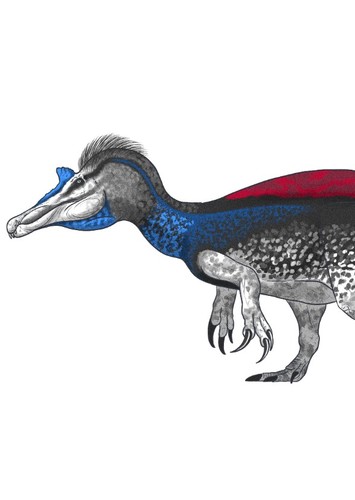 Siamosaurus