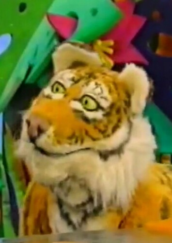Siberian Tiger