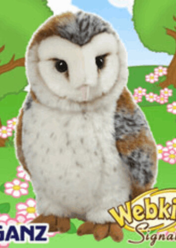 Signature Barn Owl