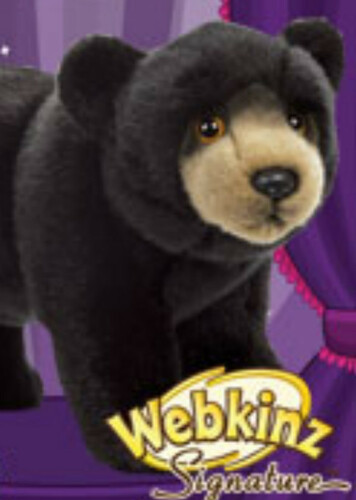 Signature Black Bear