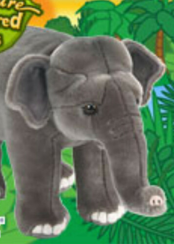 Signature Endangered Asian Elephant