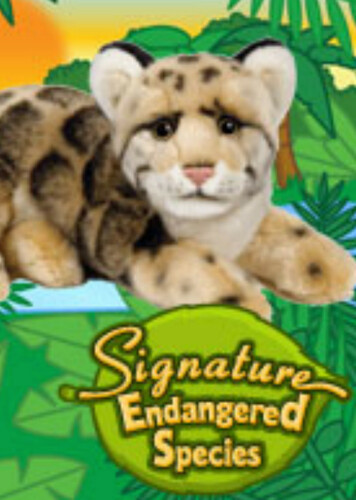 Signature Endangered Clouded Leopard