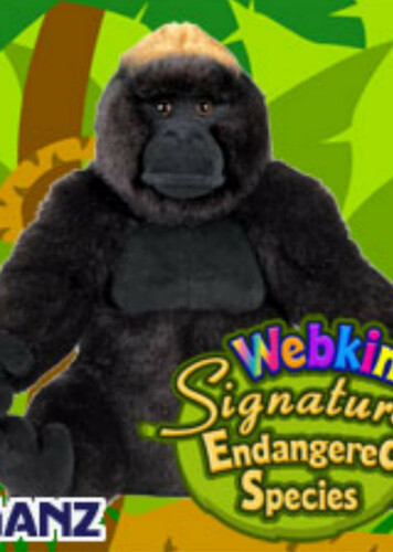 Signature Endangered Western Lowland Gorilla