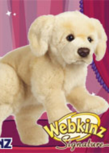 Signature Golden Retriever
