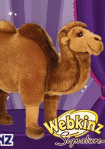 Signature Wild Bactrian Camel