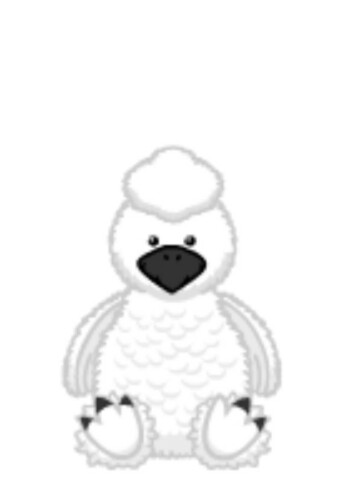 Silkie Chicken