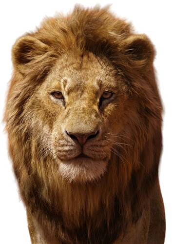 Simba