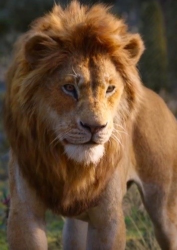 Simba (Donald Glover)