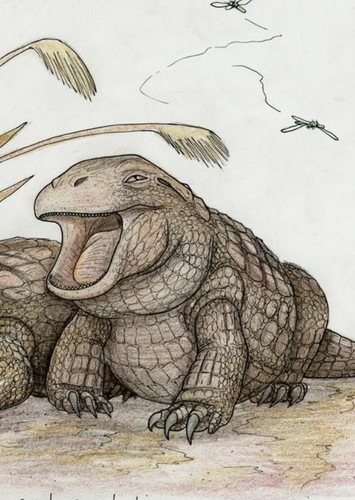 Simosuchus