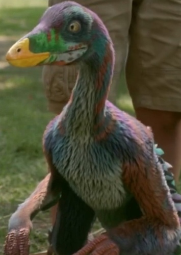 Sinornithosaurus