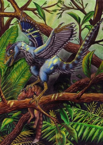 Sinornithosaurus