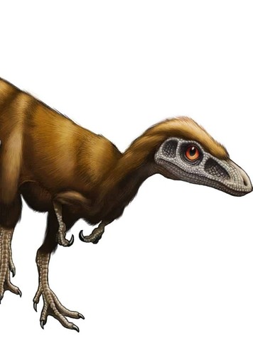 Sinosauropteryx