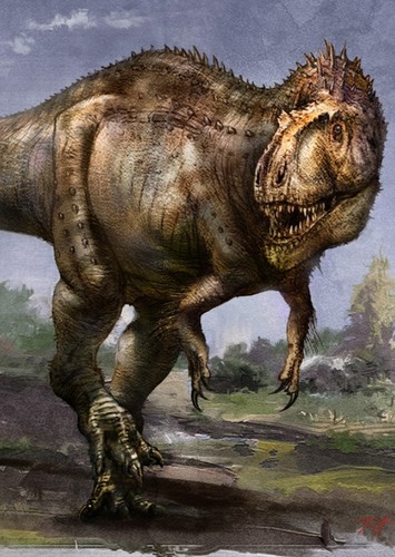 Sinraptor
