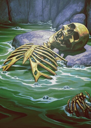 Skeleton
