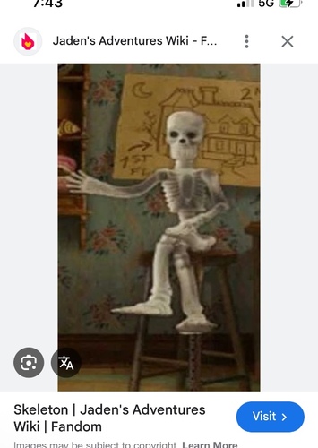 Skeleton