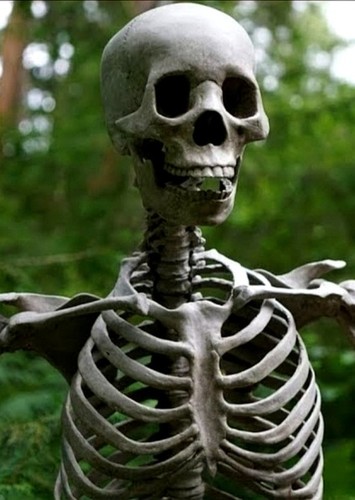 Skeleton Archer