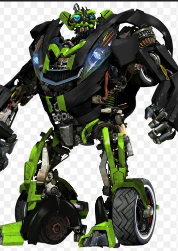 Skids