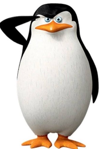 Skipper