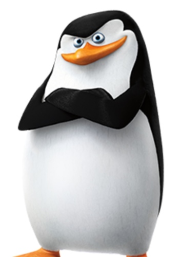 Skipper