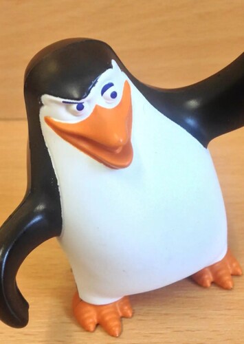 Skipper