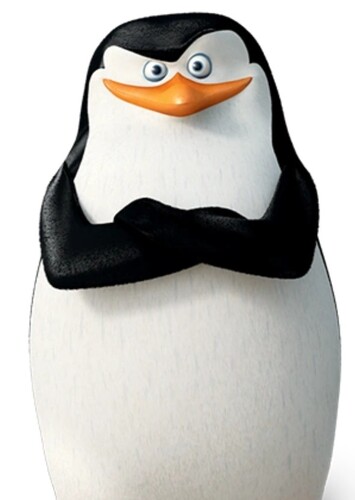 Skipper