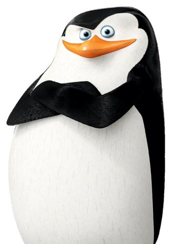 Skipper