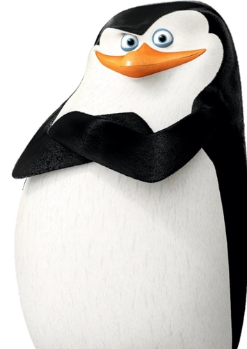 Skipper