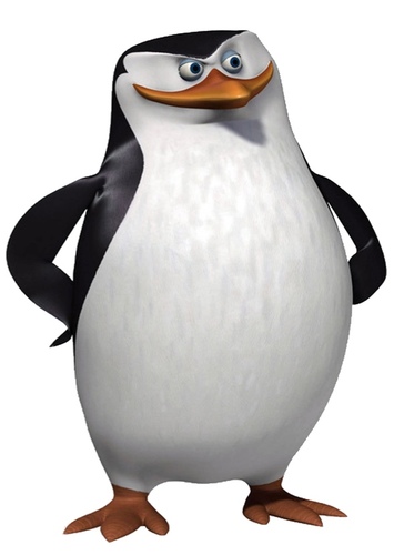 Skipper