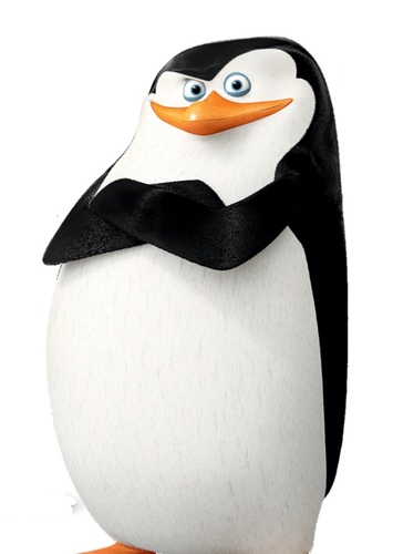 Skipper