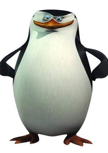 Skipper